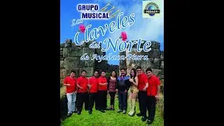 006 Claveles del Norte   QUE PUEDO HACER (Primicia 2017)
