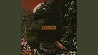Forest Fire