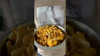 За локацией с лисичками в ЛС #лисички