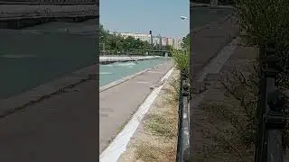 На доске по реке🤪