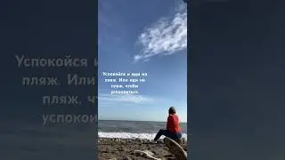 Цитата дня.