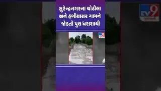 સુરેન્દ્રનગરના ચોટીલા અને હબીયાસર ગામને જોડતો પુલ ધરાશાયી | #surendranagar #gujarat #shorts