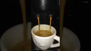 Ремонт Delonghi Magnifica
