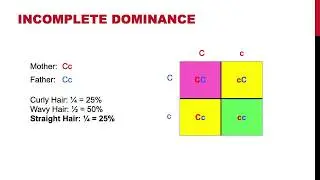 Genetics Intro - Simple