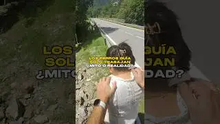 Los Perros Guía Solo Trabajan ¿Mito o Realidad? 🦮😔
