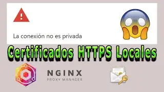 Guía para crear Certificados HTTPS Locales con Nginx Proxy Manager