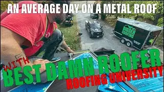 An Average Day On Metal Roof