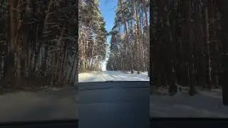 #природа #рыбалка #дорога #зимнийлес