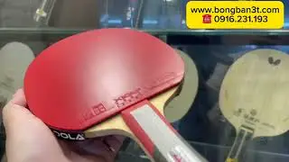 Bộ vợt bóng bàn cho người chơi phong trào cực hiệu quả #WangHaoZLC #XiomVegaPro #Kokutaku868Pro