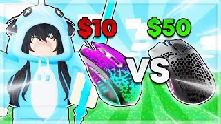 Which MOUSE Is BETTER For Roblox Bedwars? ($50 Gaming Mouse VS $10 Gaming Mouse)