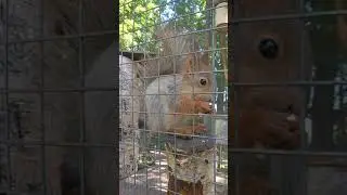 малыш точек орешек 3.07.18