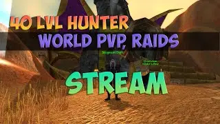 40 hunter: PvP, PvE | Lone Wolf | Season Of Discovery WoW Classic