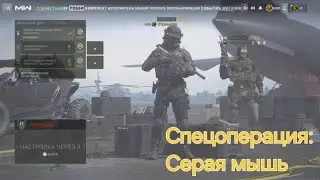Прохождение спецоперации Серая Мышь