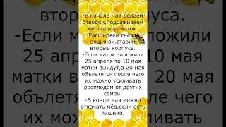 План работ на май