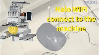 Halo WiFi connect to the computer