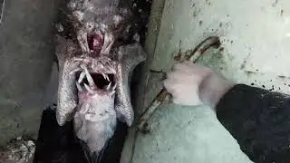 Metro 2033 Redux - Все пошло не по плану #2
