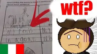 15 Risposte alle verifiche SBAGLIATE Divertenti [EPICO]