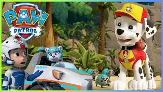 Best Sea Patrol Water Rescue Episodes! | PAW Patrol | Cartoons for Kids