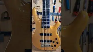 Yamaha TRB6 Prototype 6-s string bass on the bench, setup & electronic  repair #luthier #luthiery