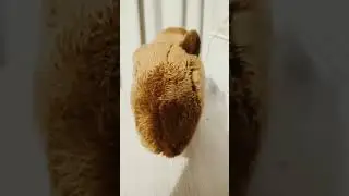 всех с новым годом