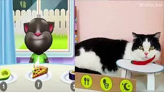 My Talking Tom in real Life VS Talking Tom in the Game #short