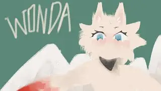 𝐖𝐨𝐧𝐝𝐚