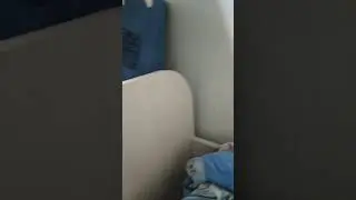 Я теперь буду стримером