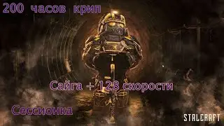 Сессионка на 200 часу игры | Сайга + Скорость | Полумастерка | Stalcraft highight