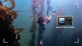 surfing + kelp forest snorkeling in California (DJI Osmo action 4)