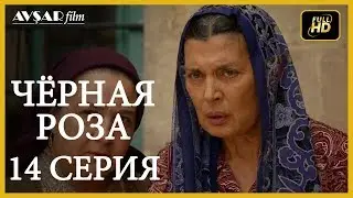 Чёрная роза 14 серия  русская озвучка (Турция серии)