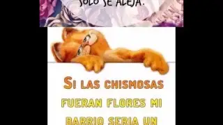 Imagenes de Whatsapp para Descargar