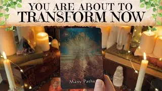 You Are Transforming. You Have Finally Won! 🦋 Tarot Reading 🔮 Timeless