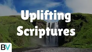 Uplifting Scriptures From The Bible