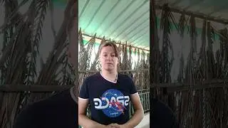 Возвращение в Россию 