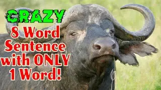 Buffalo buffalo Buffalo buffalo buffalo buffalo Buffalo buffalo