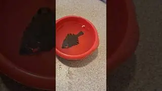 Что делать когда не клюёт? 