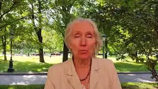 Прямой эфир #Разоблачено
