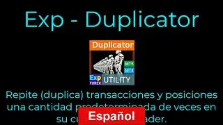 Español. Duplicator - Duplicación de señales y transacciones/posiciones en los terminales MetaTrader