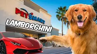 I Bought My Dog Everything She Touched! 🐠