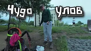 Вышел на ПЕРВУЮ РЫБАЛКУ С ФИДЕРОМ. Пробы на пруду.