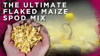 THIS SPOD MIX IS CHEAP AND VERY EFFECTIVE! 😉 CARP FISHING BAIT TIPS | CC Moore