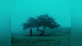 Tree of life (Play List)