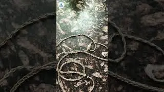 Tripowin C8 8-Core IEM Cable Unboxing and Overview!