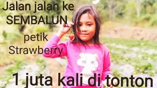 jalan jalan petik strawberry dan kasih makan monyet di sembalun #traveling #vlog #explore