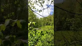 Поход по Изборскому кольцу. #nature #природа