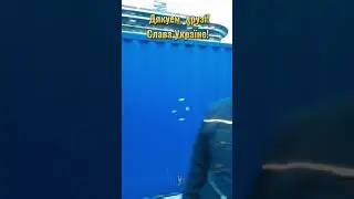 Qazaqstan Respýblıkasy Tauelsizdik kúnimen quttyqtaý. The Independence Day Republic of Kazakhstan.