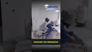 Жизнь каждой бизнес-команды #бизнес #стартап #юмор