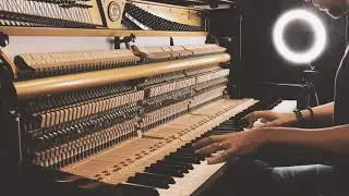 Lemos - Waltz of Flowers (from home)