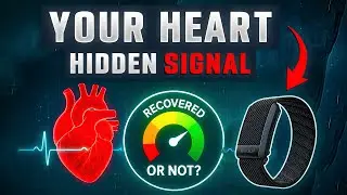 WHOOP: The Science of Recovery Tracking Explained