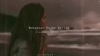 Mohabbat Tujhe Alvida [ Slowed + Reverb ]